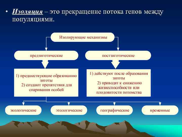  • Изоляция – это прекращение потока генов между популяциями. 