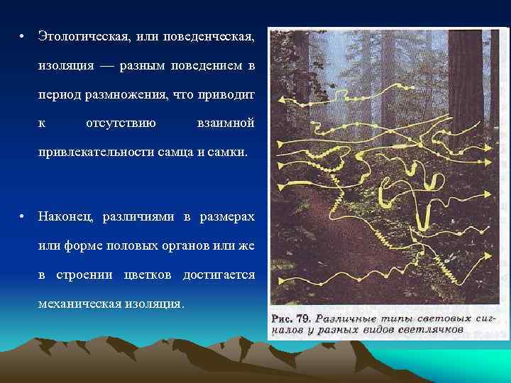  • Этологическая, или поведенческая, изоляция — разным поведением в период размножения, что приводит