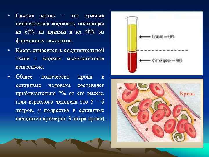 Внутренняя среда организма состоит из жидкостей