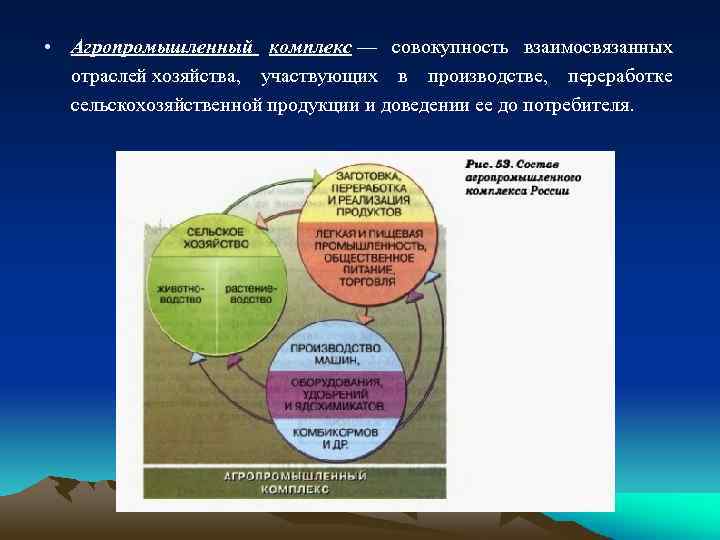 Комплекс совокупность