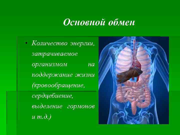 Основной обмен • Количество энергии, затрачиваемое организмом на поддержание жизни (кровообращение, сердцебиение, выделение гормонов