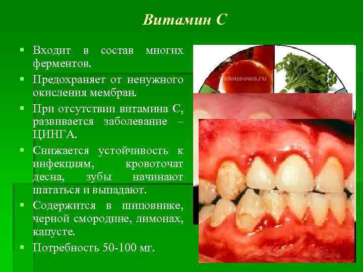 Витамин С § Входит в состав многих ферментов. § Предохраняет от ненужного окисления мембран.