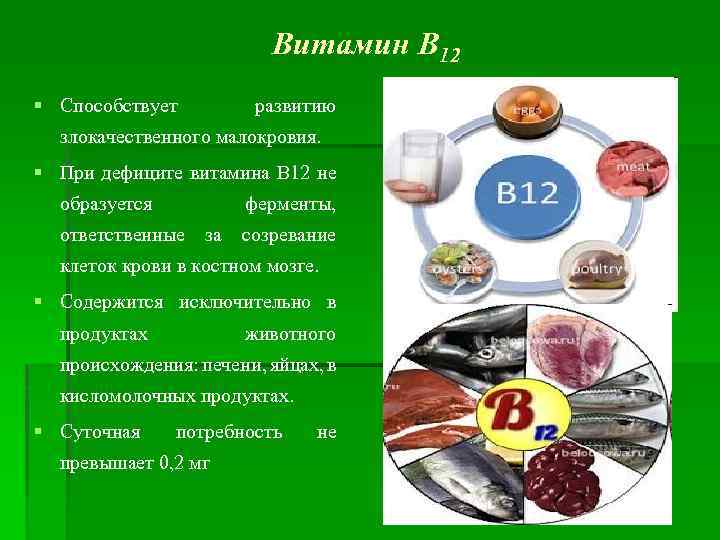 Витамин В 12 § Способствует развитию злокачественного малокровия. § При дефиците витамина В 12