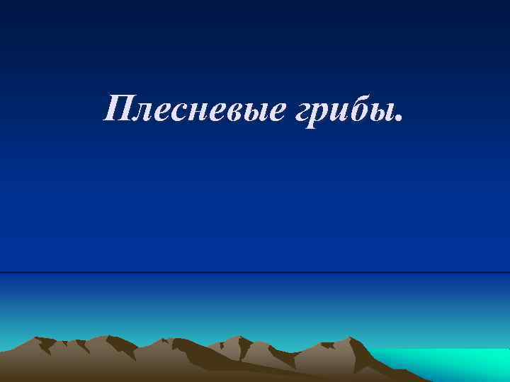 Плесневые грибы. 