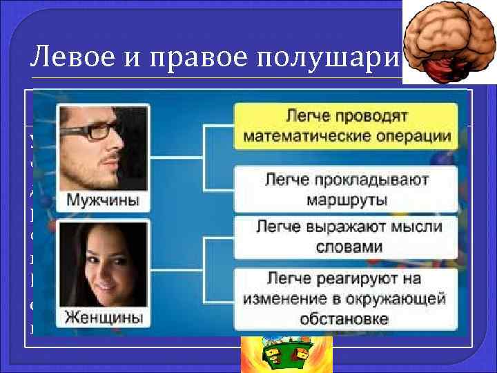 Левое и правое полушарие Левое полушарие У правшей находятся чувствительный и двигательный центры речи.