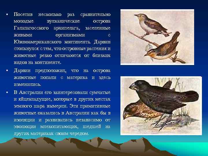  • Посетив несколько раз сравнительно молодые вулканические острова Галапагосского архипелага, заселенные живыми организмами