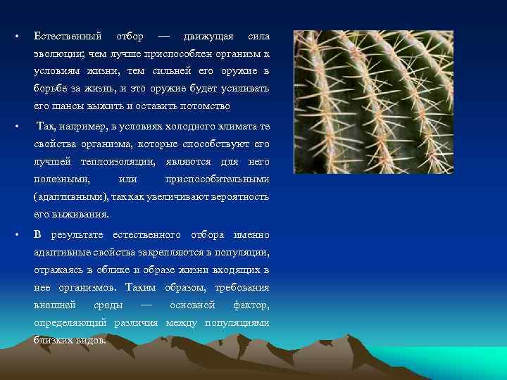  • Естественный отбор — движущая сила эволюции; чем лучше приспособлен организм к условиям