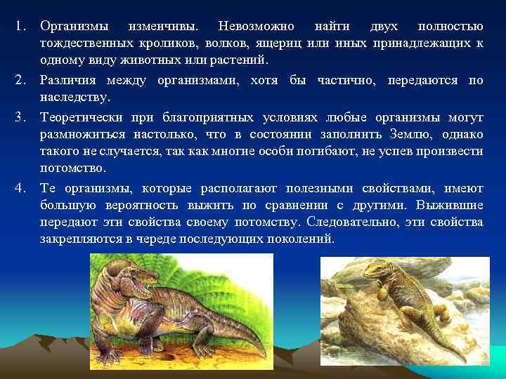 1. 2. 3. 4. Организмы изменчивы. Невозможно найти двух полностью тождественных кроликов, волков, ящериц