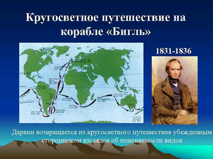 Кругосветное путешествие на корабле «Бигль» 1831 -1836 Дарвин возвращается из кругосветного путешествия убежденным сторонником
