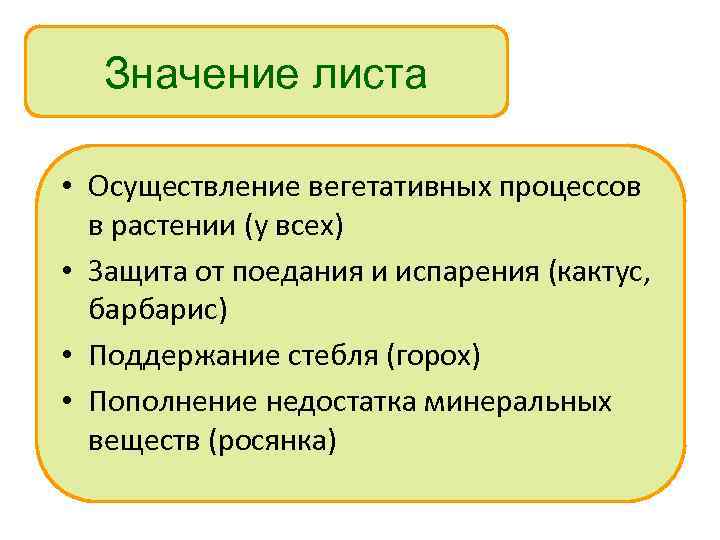 Значение листьев 6 класс