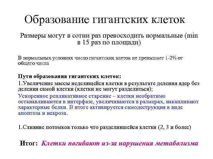 Образование гигантских клеток Размеры могут в сотни раз превосходить нормальные (min в 15 раз