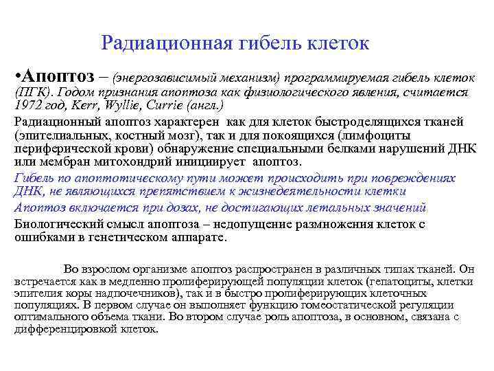 Радиационная гибель клеток • Апоптоз – (энергозависимый механизм) программируемая гибель клеток (ПГК). Годом признания
