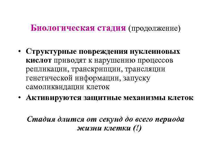 Биологическая стадия (продолжение) • Структурные повреждения нуклеиновых кислот приводят к нарушению процессов репликации, транскрипции,