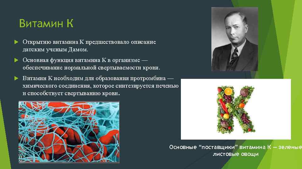 Витамин К Открытию витамина К предшествовало описание датским ученым Дамом. Основная функция витамина К