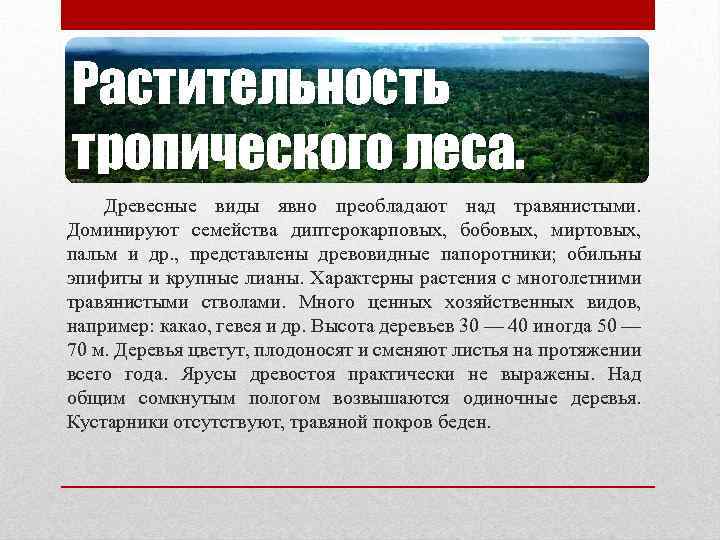 Растительность тропического леса. Древесные виды явно преобладают над травянистыми. Доминируют семейства диптерокарповых, бобовых, миртовых,