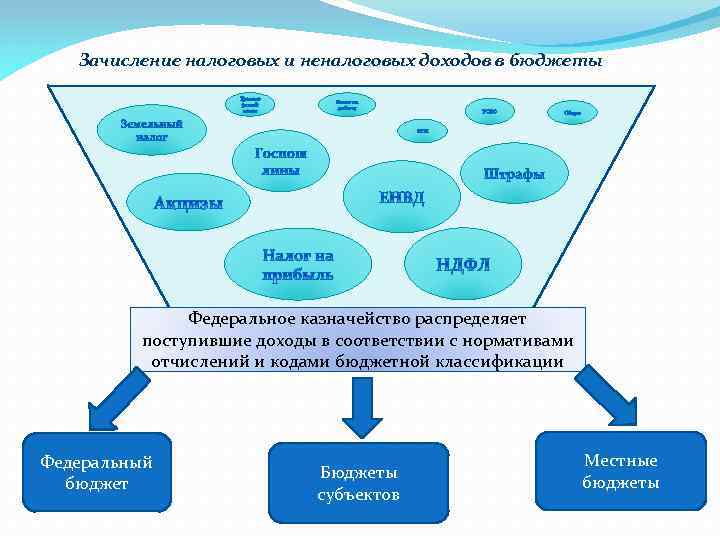 Зачисление налоговых и неналоговых доходов в бюджеты Федеральное казначейство распределяет поступившие доходы в соответствии