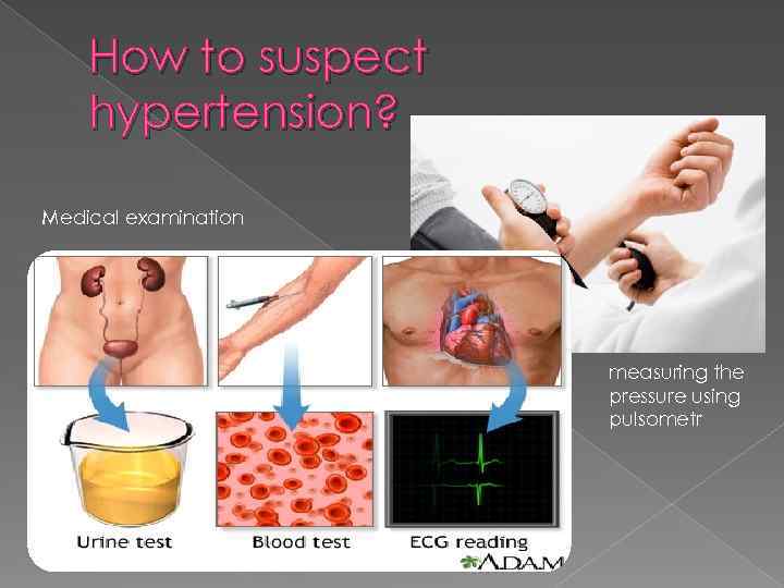 How to suspect hypertension? Medical examination measuring the pressure using pulsometr 