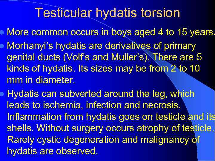 Testicular hydatis torsion l More common occurs in boys aged 4 to 15 years.