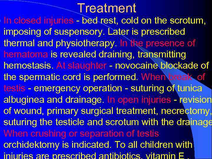 Treatment l In closed injuries - bed rest, cold on the scrotum, imposing of