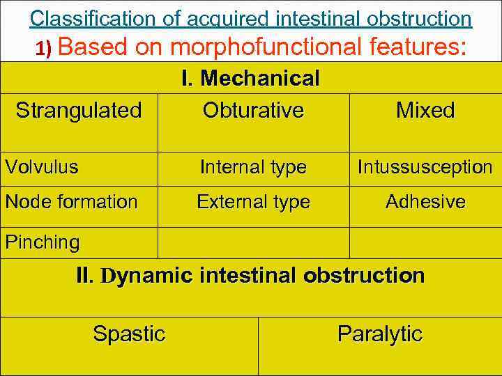 Classification of acquired intestinal obstruction 1) Based on morphofunctional features: I. Mechanical Strangulated Obturative
