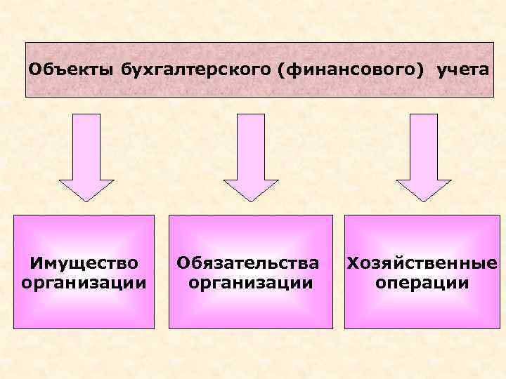 Объекты бухгалтерского (финансового) учета Имущество организации Обязательства организации Хозяйственные операции 