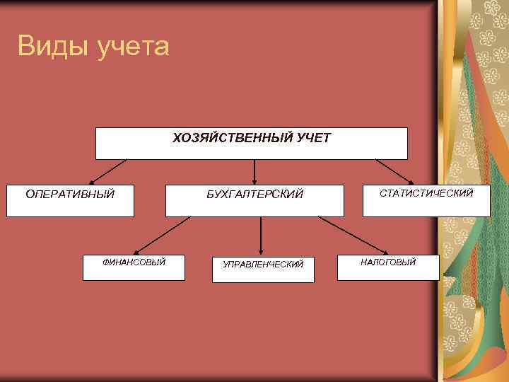 Виды учета ХОЗЯЙСТВЕННЫЙ УЧЕТ ОПЕРАТИВНЫЙ ФИНАНСОВЫЙ БУХГАЛТЕРСКИЙ УПРАВЛЕНЧЕСКИЙ СТАТИСТИЧЕСКИЙ НАЛОГОВЫЙ 