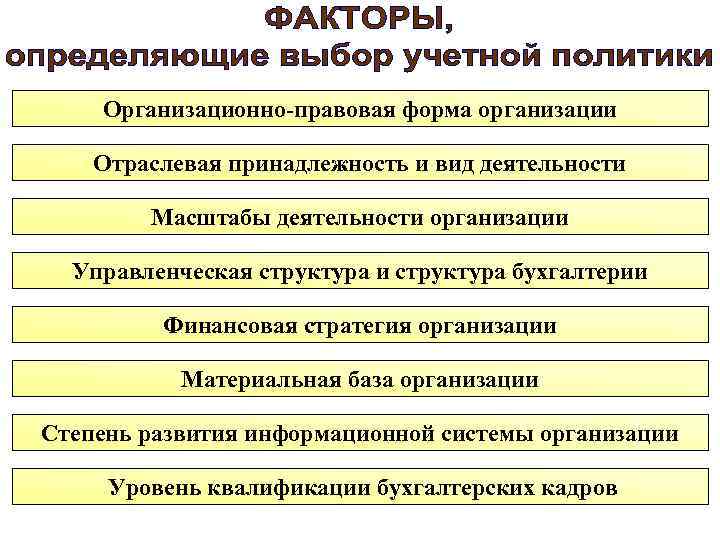 Организационно-правовая форма организации Отраслевая принадлежность и вид деятельности Масштабы деятельности организации Управленческая структура и