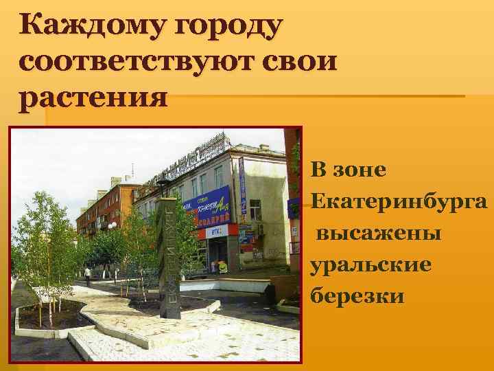 Каждому городу соответствуют свои растения В зоне Екатеринбурга высажены уральские березки 