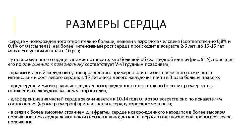 Размеры сердца. Размер сердца у новорожденного. Размеры сердца у новорожденных. Объем сердца у новорожденного. Размеры сердца у грудничков.