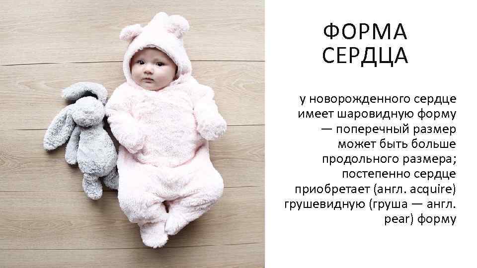 ФОРМА СЕРДЦА у новорожденного сердце имеет шаровидную форму — поперечный размер может быть больше