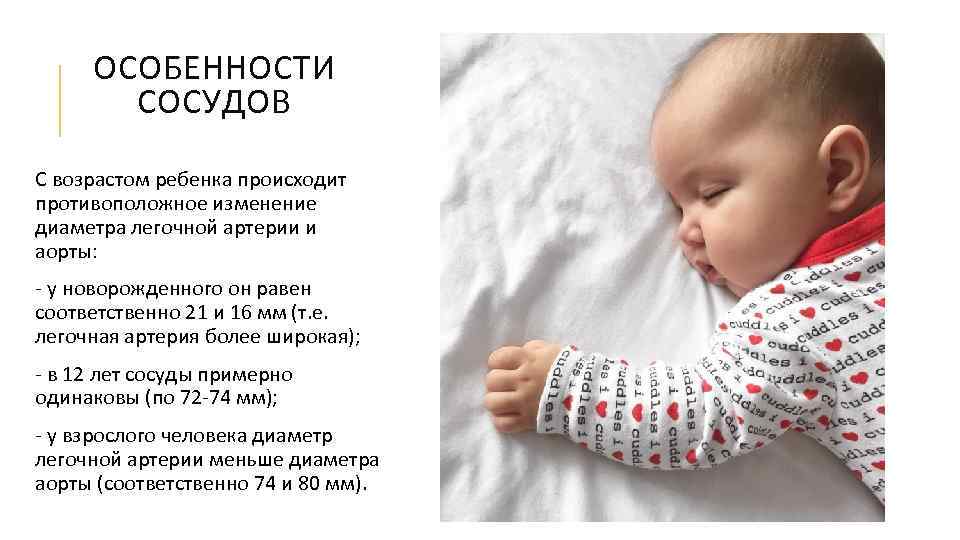 ОСОБЕННОСТИ СОСУДОВ С возрастом ребенка происходит противоположное изменение диаметра легочной артерии и аорты: -