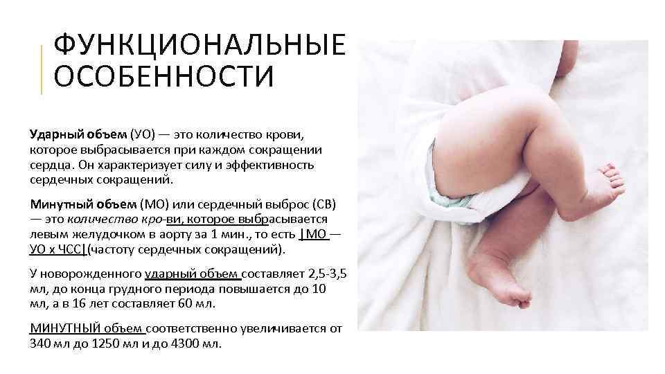 ФУНКЦИОНАЛЬНЫЕ ОСОБЕННОСТИ Ударный объем (УО) — это количество крови, которое выбрасывается при каждом сокращении