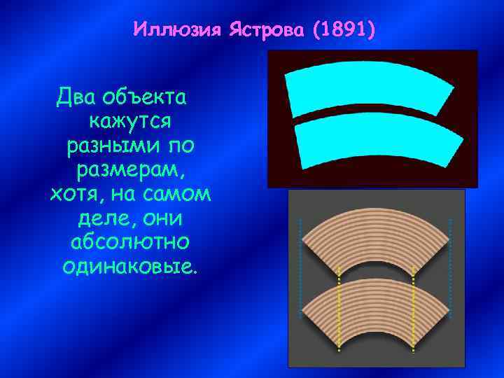 Иллюзия Ястрова (1891) Два объекта кажутся разными по размерам, хотя, на самом деле, они