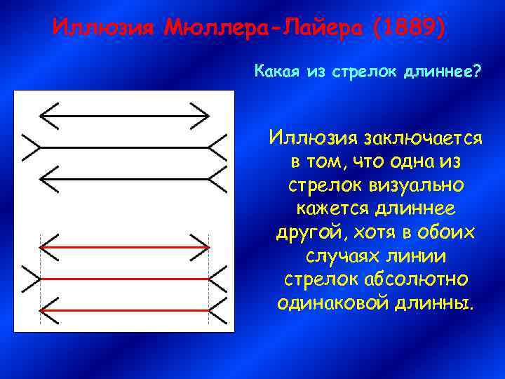 Иллюзия Мюллера-Лайера (1889) Какая из стрелок длиннее? Иллюзия заключается в том, что одна из