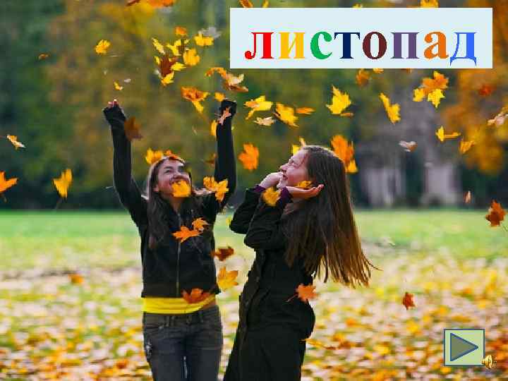 листопад 