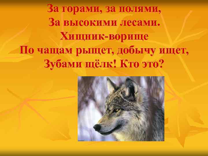 За горами, за полями, За высокими лесами. Хищник-ворище По чащам рыщет, добычу ищет, Зубами