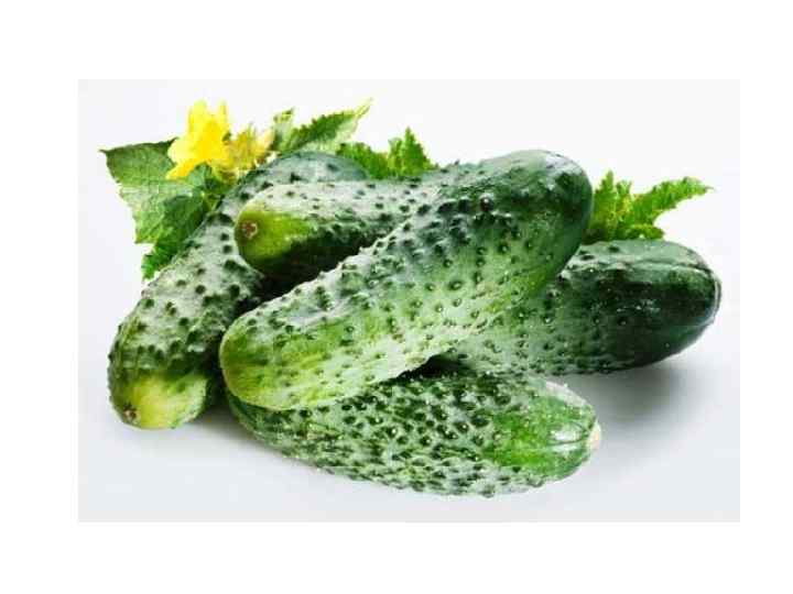 Я длинный и зеленый, вкусен я соленый, Вкусен и сырой. Кто же я такой?