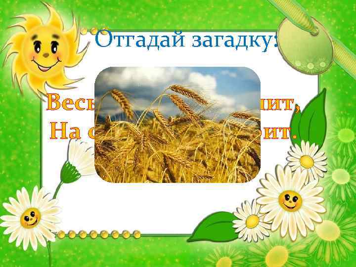 Отгадай загадку: Весь из золота отлит, На соломинке стоит. 