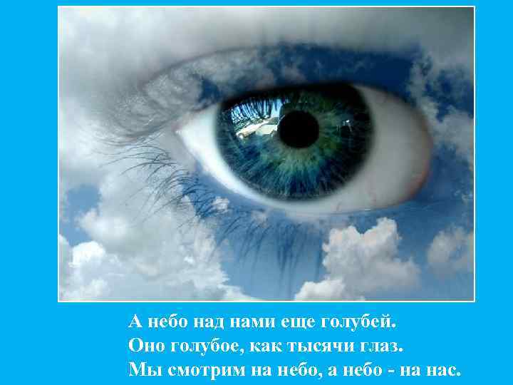 А небо над нами еще голубей. Оно голубое, как тысячи глаз. Мы смотрим на