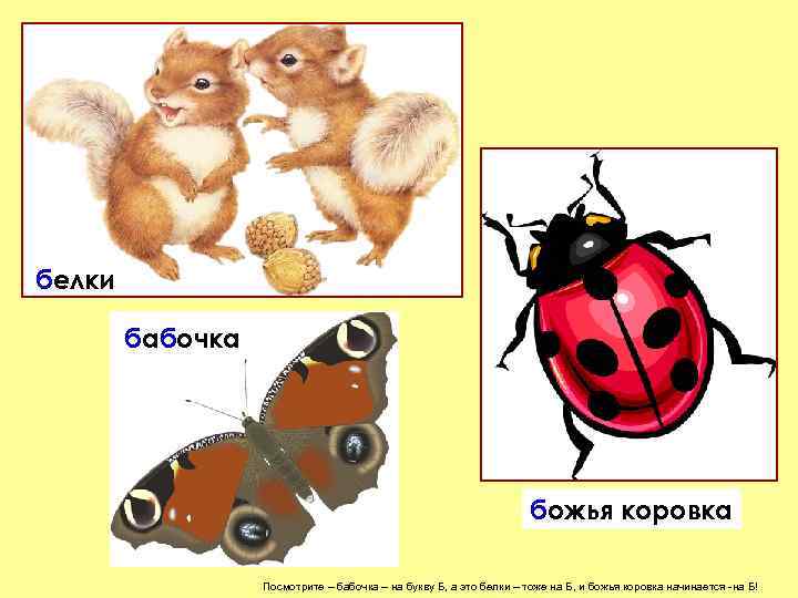 белки бабочка божья коровка Посмотрите – бабочка – на букву Б, а это белки