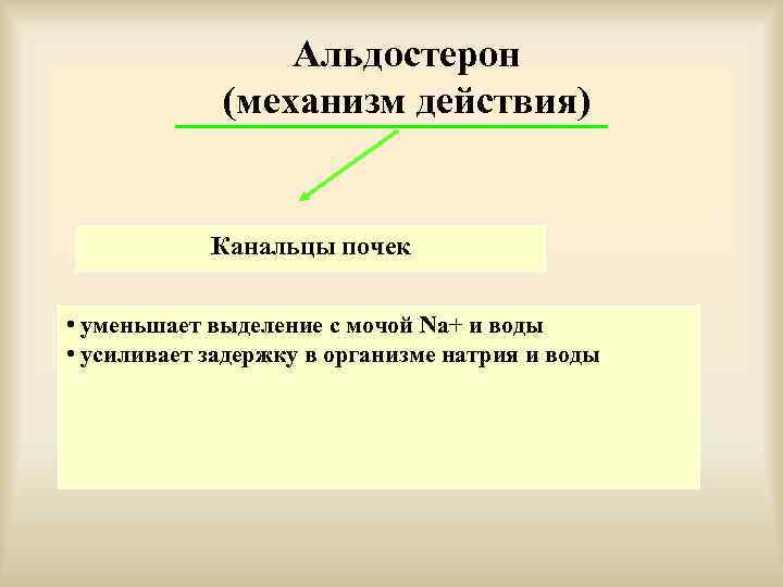 Альдостерон (механизм действия) Канальцы почек • уменьшает выделение с мочой Na+ и воды •