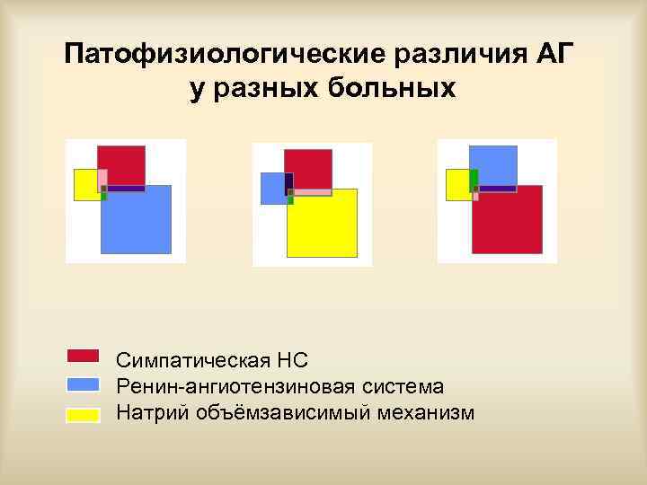 Патофизиологические различия АГ у разных больных Симпатическая НС Ренин-ангиотензиновая система Натрий объёмзависимый механизм 