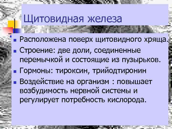 Щитовидная железа n n Расположена поверх щитовидного хряща. Строение: две доли, соединенные перемычкой и