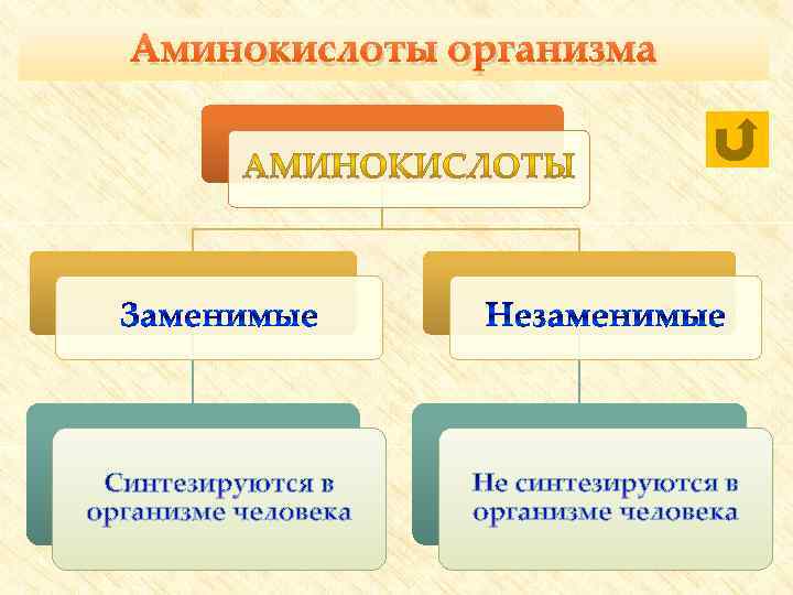 Аминокислоты организма 