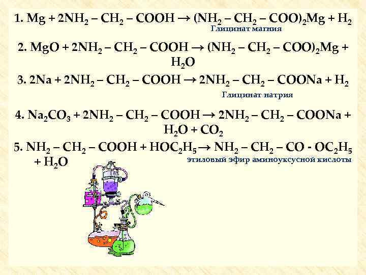 1. Mg + 2 NH 2 – COOH → (NH 2 – COO)2 Mg