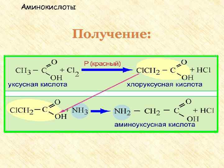 Аминокислоты Получение: 1. Гидролиз белков. Белок – полимер под действием воды распадается на мономеры