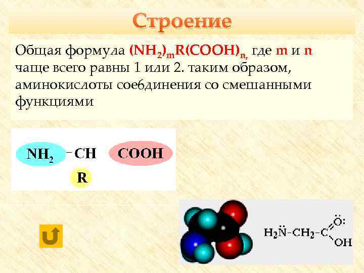 Строение Общая формула (NH 2)m. R(COOH)n, где m и n чаще всего равны 1