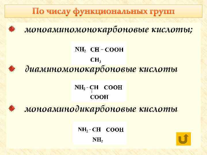 По числу функциональных групп моноаминомонокарбоновые кислоты; диаминомонокарбоновые кислоты моноаминодикарбоновые кислоты 