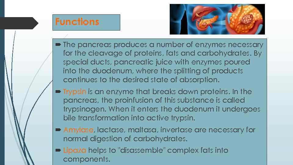 Functions The pancreas produces a number of enzymes necessary for the cleavage of proteins,