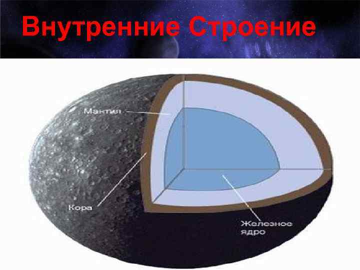 Внутренние Строение 